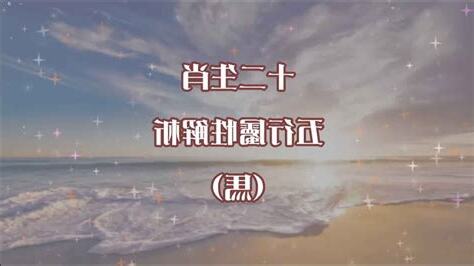 馬 五行屬性